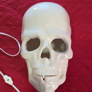 Spencer's Glossy White Skull Decor